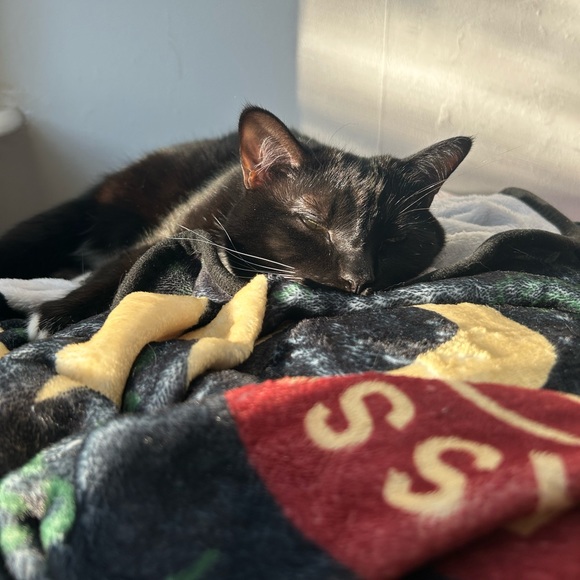 Meet your Posher, Aileen - Picture 3 of 3